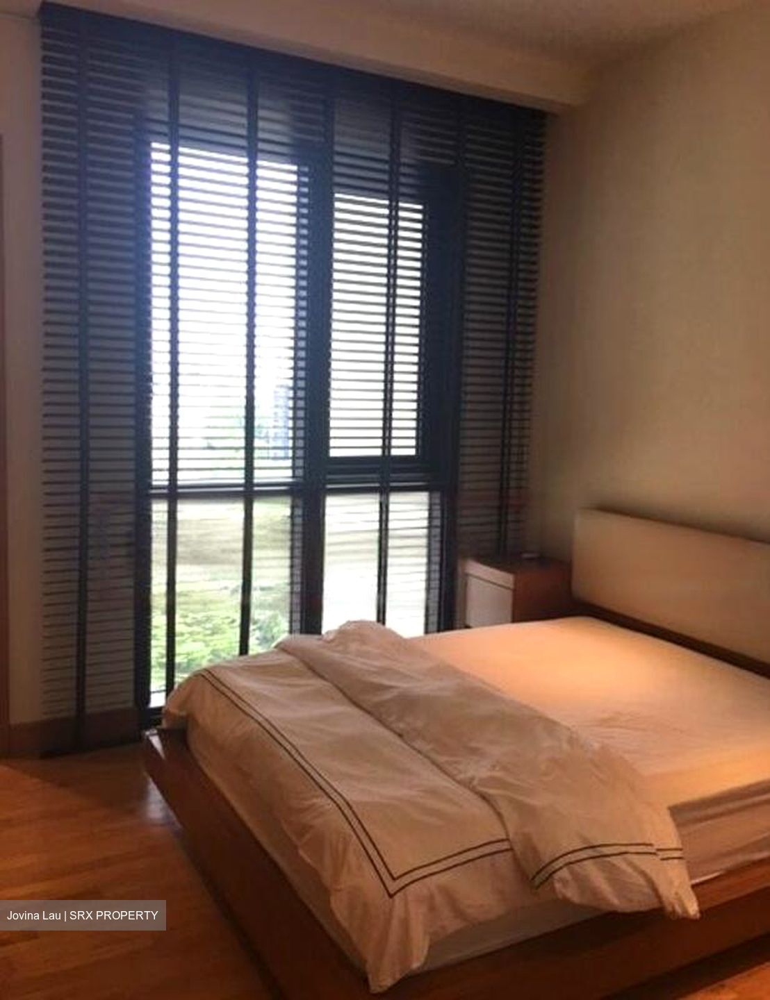 Ardmore Park (D10), Condominium #476120491